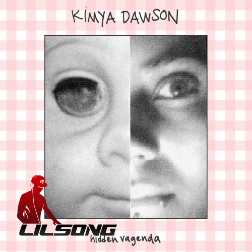 Kimya Dawson - Hidden Vagenda